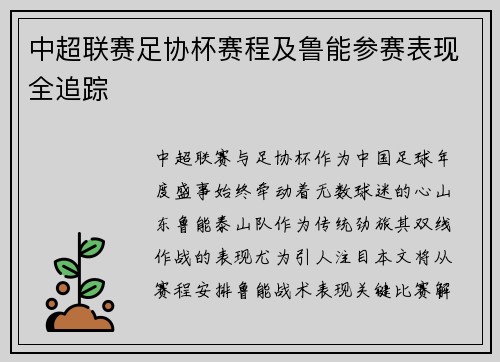 中超联赛足协杯赛程及鲁能参赛表现全追踪