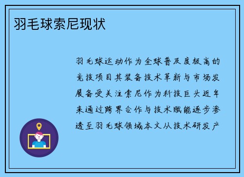 羽毛球索尼现状