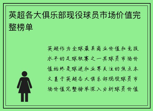 英超各大俱乐部现役球员市场价值完整榜单